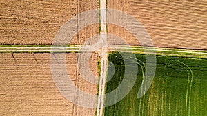 Nature and landscape: Aerial view of a field, cultivation, green grass, countryside, farming,