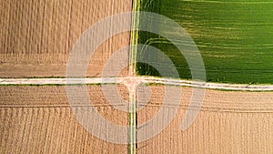 Nature and landscape: Aerial view of a field, cultivation, green grass, countryside, farming,