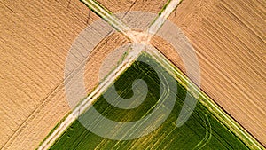 Nature and landscape: Aerial view of a field, cultivation, green grass, countryside, farming,