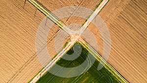 Nature and landscape: Aerial view of a field, cultivation, green grass, countryside, farming,