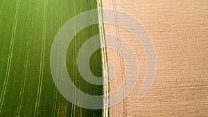 Nature and landscape: Aerial view of a field, cultivation, green grass, countryside, farming,