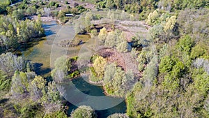 Nature and landscape: Aerial view of a forest and lakes