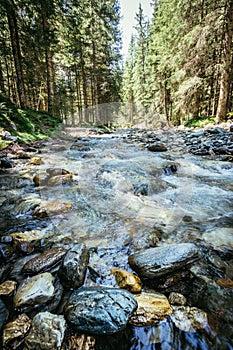 Nature landscape in the alps: River and timberland