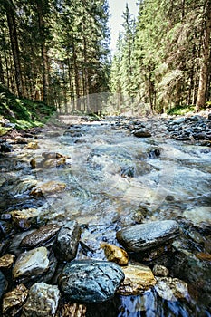 Nature landscape in the alps: River and timberland photo