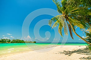 Nature landscape: Amazing sandy tropical beach with coconut palm tree and crystal clear sea water on background blue summer sky