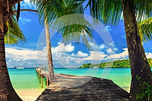 Nature landscape: Amazing sandy tropical beach with silhouette coconut palm tree in crystal clear sea and scenery wooden bridge ou