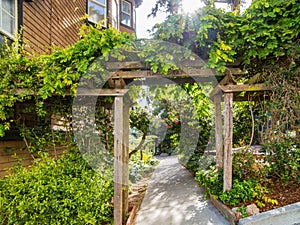 Nature landscape around Russian Hill Vallejo Street Crest Historic District