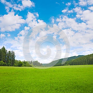 Nature landscape background with grass, meadow and blue sky
