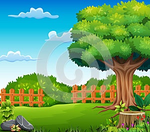 Nature landscape background with tree and fence