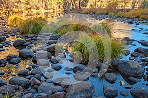 Nature landscape on the bank of a river surrounded by large rocks and cordgrasses plants