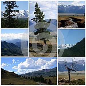 Nature landscape collage