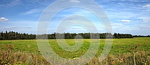 Nature landscape with green field and forest far away on summer day panoramic view