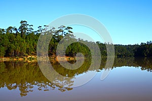 Nature of Landscape, Green pine forest area with tranquil lake reflection and clear blue sky in the morning
