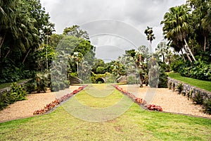 nature landscape of immaculate Fairchild botanic garden with dramatic skies, lake and palm trees