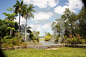 nature landscape of immaculate Fairchild botanic garden with dramatic skies, lake and palm trees