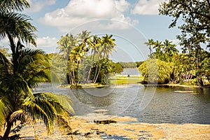 nature landscape of immaculate Fairchild botanic garden with dramatic skies, lake and palm trees