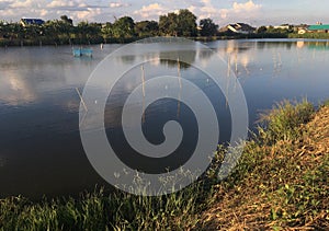 Nature Landscape[Lake or pond] in country