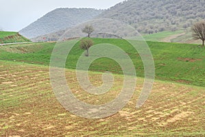 Nature landscape in Lorestan Province. Iran