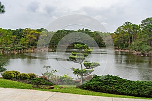 Nature Landscape in Morikami Japanese Park, Garden and Museum one of the best in USA