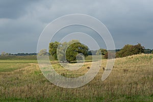 Nature landscape near the river Elbe and the german city Doemitz photo