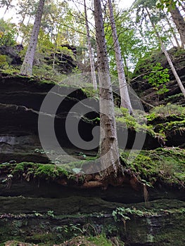 Nature and landscape photo of Saxon Switzerland, Dresden, Germany