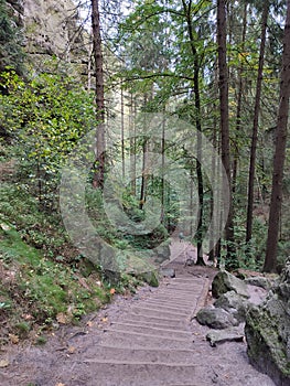 Nature and landscape photo of Saxon Switzerland, Dresden, Germany