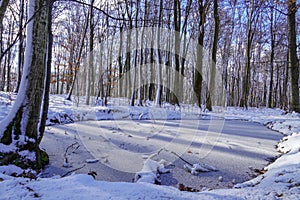 Nature landscape with pond and trees after first frost and snow  morning with frozen water and plants