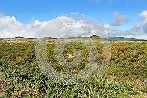 Nature landscape in Portugal