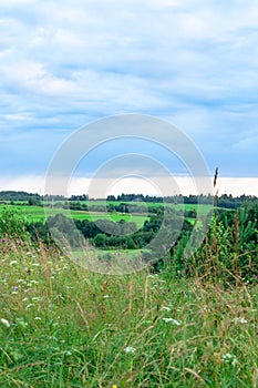 Nature landscape of purple blue and pink twilight evening sunset at rural village green field