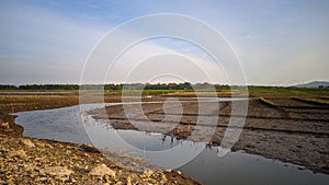 Nature landscape at on the river. photo