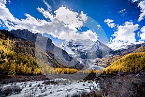 Nature landscape river in pine forest mountain valley,Snow Mountain in daocheng yading,Sichuan,China