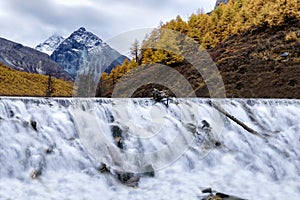 Nature landscape river in pine forest mountain valley,Snow Mountain in daocheng yading,Sichuan,China