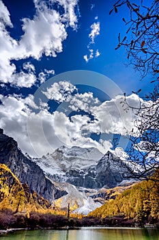 Nature landscape river in pine forest mountain valley,Snow Mountain in daocheng yading,Sichuan,China