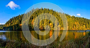 Nature landscape at Romania Lacu Rosu