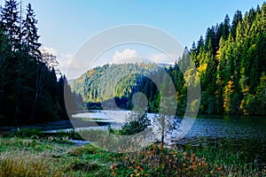 Nature landscape at Romania Lacu Rosu