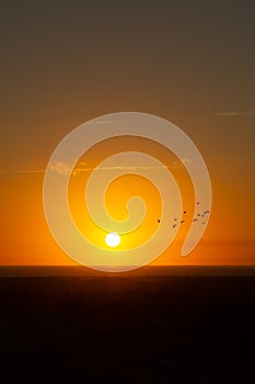 Nature landscape. Setting sun on the horizon  Vertical orientation