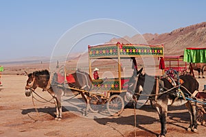 Nature landscape view of the Flaming Mountain and camel in Turpan Xinjiang Province China