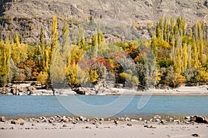 Nature landscape view of Ghanche in autumn season. Colorful trees with turquoise river and mountain in the background.