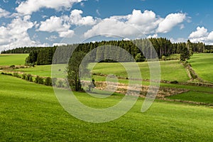 Nature landscapes with green hills at woods during summer at the Belgian Countryside around Bullingen, Belgium