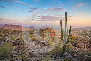 Nature landscpe of Phoenix, Arizona, USA photo