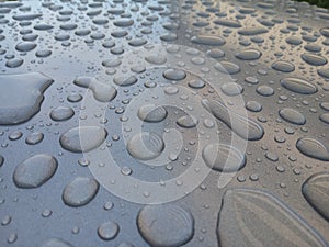 Nature large water droplets on metal. Drops of water on the black metallic background, water and metal texture.