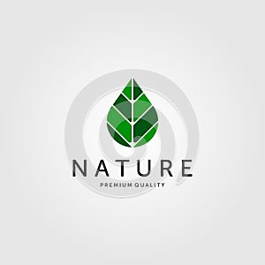 Nature leaf on drop water logo vector green color icon illustration design