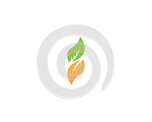 Nature leaf icon and symbol vector illustration for web app