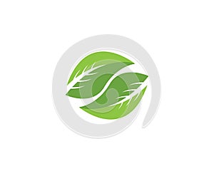 Nature leaf icon and symbol vector illustration for web app