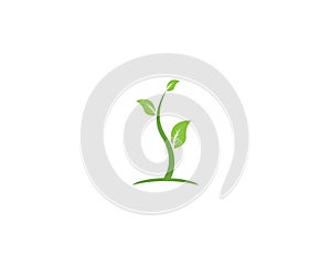 Nature leaf icon and symbol vector illustration for web app