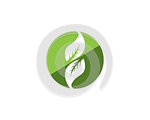 Nature leaf icon and symbol vector illustration for web app