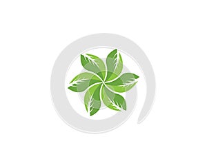 Nature leaf icon and symbol vector illustration for web app