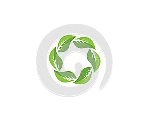 Nature leaf icon and symbol vector illustration for web app