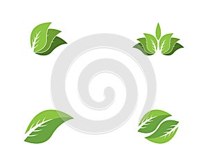 Nature leaf icon and symbol vector illustration for web app