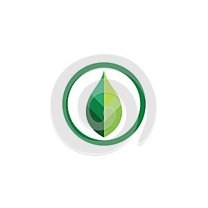 nature leaf logo and symbol template.